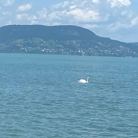 Villa Lipi - Home Away From Home Balatonszemes Bagian luar foto