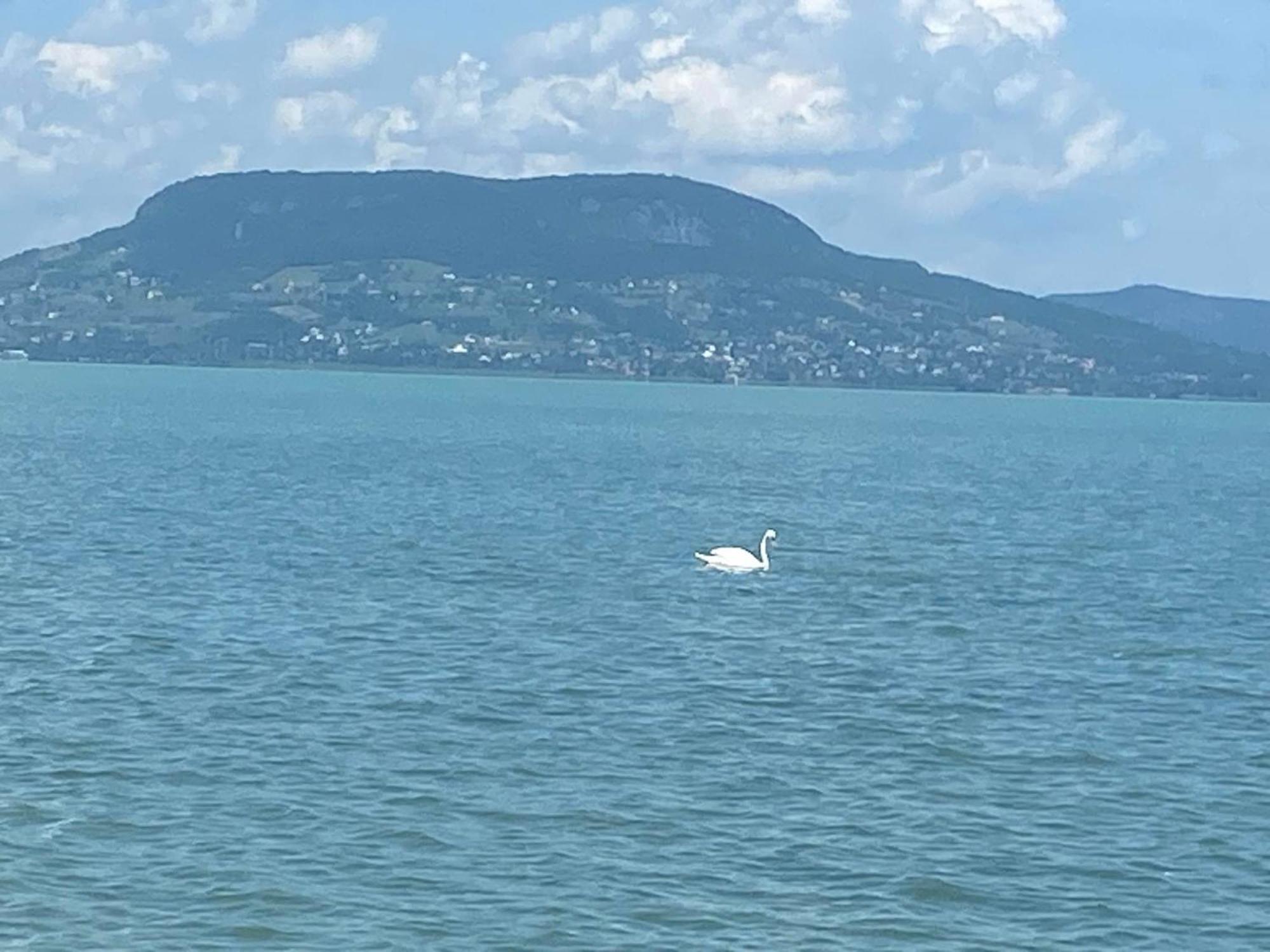 Villa Lipi - Home Away From Home Balatonszemes Bagian luar foto